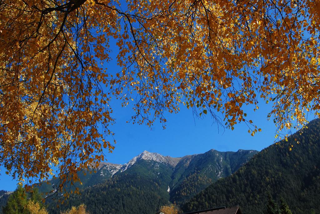 Landhaus Elke ไรท์ไบเซเฟลด์ ภายนอก รูปภาพ